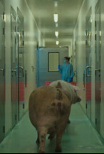 Imagen de El documental: Fauna - 4