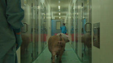 Imagen de El documental: Fauna - 5