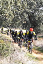 Imagen de A piñón fijo - 4