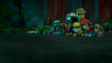 Imagen de Valiente: Una historia de Tracker - 7