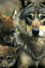 Imagen de Padrazos de la naturaleza - 4