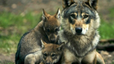 Imagen de Padrazos de la naturaleza - 5