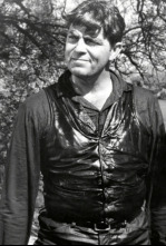 Imagen de Flechas sangrientas - 4