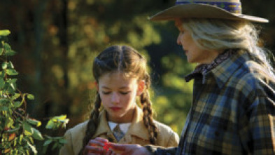 Imagen de Los mejores deseos - 5