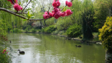 Imagen de El Gran Canal de China: el viaje de un fotógrafo - 7