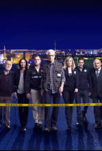 Imagen de C.S.I.: Las Vegas (T12): Ep.13 Trenzando para matar - 4