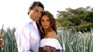 Imagen de Destilando amor - 8