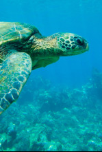 Imagen de Lugares indómitos....: Invierno - 6