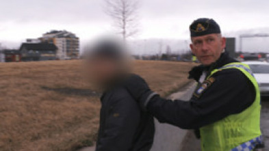 Imagen de Control de fronteras:...: Paddy halla drogas - 7