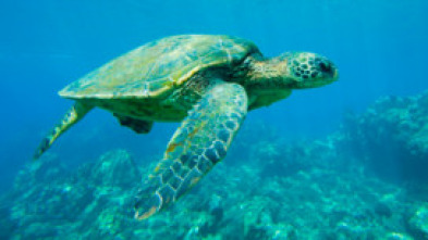 Imagen de Lugares indómitos....: Invierno - 15