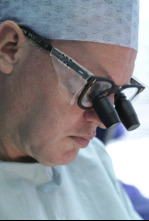 Imagen de Desastres estéticos (T1) - 4