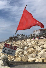 Imagen de El viento motor del cambio climatico - 4