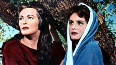 Imagen de La espada y la cruz - 5