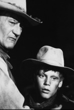 Imagen de Los cowboys - 6