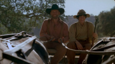 Imagen de Ases y ochos - 5