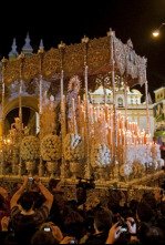 Imagen de Semana Santa (T2026): Nuestra Señora de Alhambra - 4