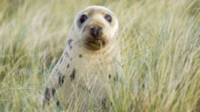 Imagen de Nacidos de la tormenta  - 15