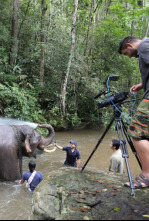 Imagen de Pacífico (T1): Ep.5 Pueblos de selva y ceniza - 4