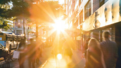 Imagen de Documentos TV (T24/25): El negocio del ADN - 15