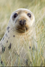 Imagen de Nacidos de la tormenta: Los hijos de la tormenta - 13