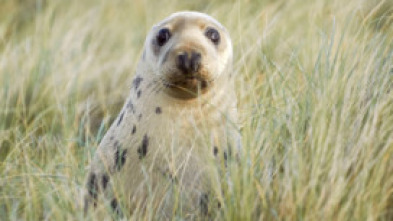 Imagen de Nacidos de la tormenta: Los hijos de la tormenta - 15