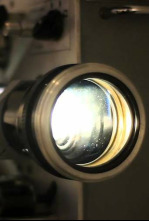 Imagen de Tom Cruise: la última estrella de cine - 5