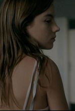 Imagen de Les Perseides - 4