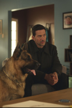 Imagen de Hudson y Rex (T8): Ep.8 A vista de pájaro - 6