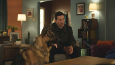 Imagen de Hudson y Rex (T8): Ep.2 Testigo a la fuga - 7