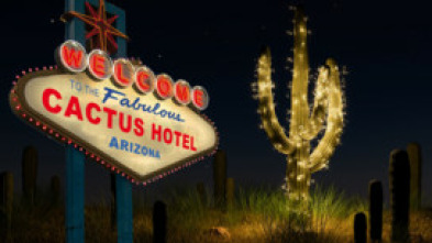 Imagen de El hotel cactus - 7