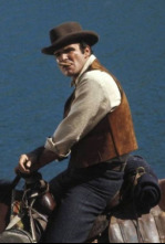 Imagen de Sam Whiskey - 4