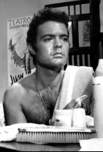 Imagen de Feria en Sevilla - 4