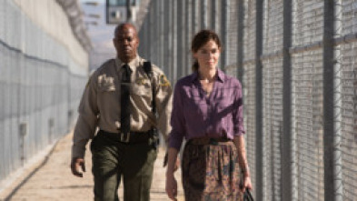 Imagen de Sólo la verdad - 14