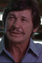 Imagen de El justiciero de la ciudad - 4