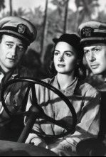 Imagen de No eran imprescindibles - 8