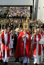 Imagen de Romeria de la Santa Faç - 4