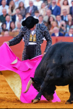 Imagen de Feria de Sevilla - 4