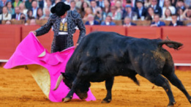 Imagen de Feria de Sevilla - 5