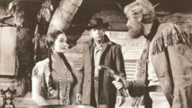 Imagen de El camino de Oregón - 5