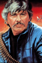 Imagen de El justiciero de la noche - 4