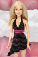 Imagen de La batalla por Barbie - 6