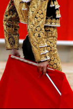 Imagen de Previo toros desde Sevilla - 4