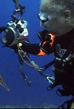 Imagen de Bubbles - 5