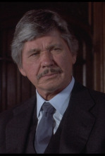 Imagen de Yo soy la justicia II - 4