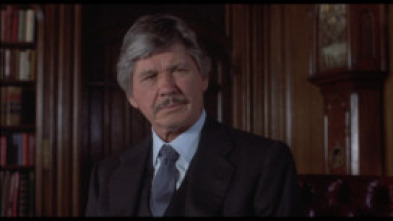 Imagen de Yo soy la justicia II - 5