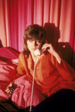 Imagen de Los crímenes del rosario - 4