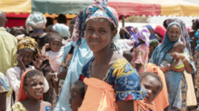 Imagen de Population d'Afrique (T6): Afrique : histoire et traditions - 5