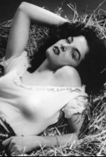 Imagen de El forajido - 4