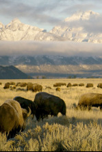 Imagen de Parques Nacionales de...: Badlands - 5