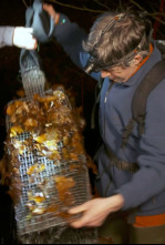 Imagen de Urak Aske - 4